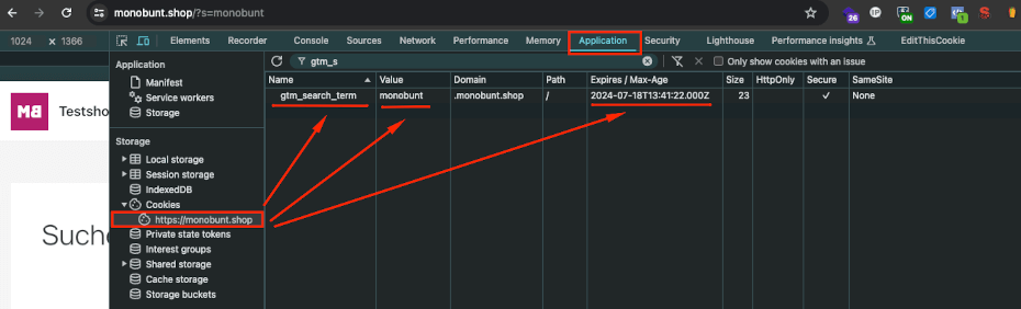 Dev Console gtm_search_term