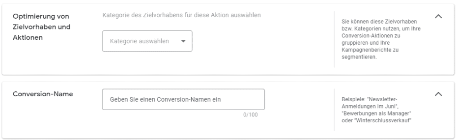 Google Ads Kategorie und Conversion-Name