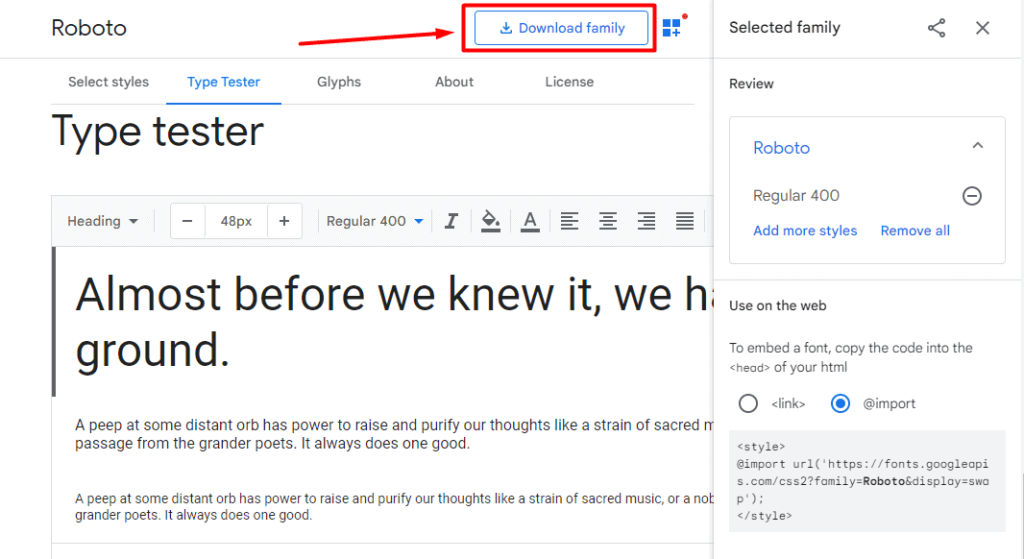 Download Google Fonts