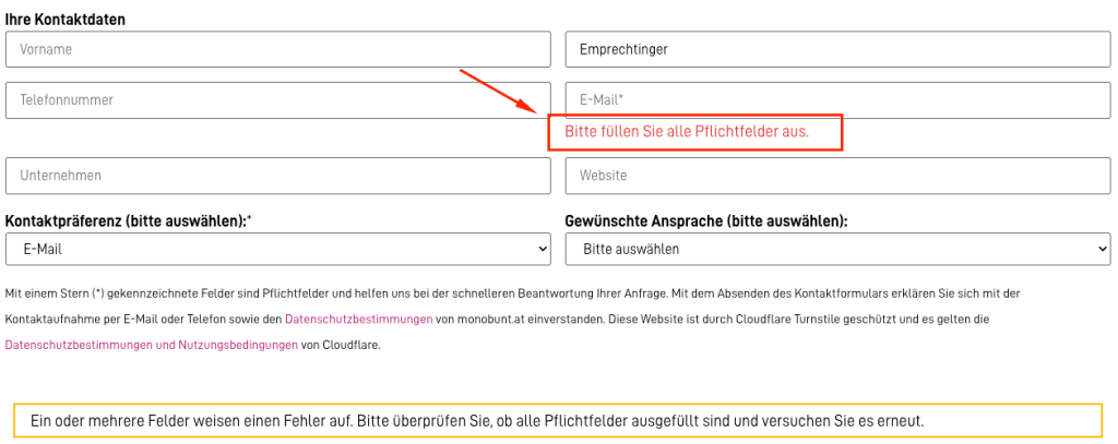 Fehlermeldungen in Formularen