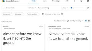 Google Fonts DSGVO-konform verwenden