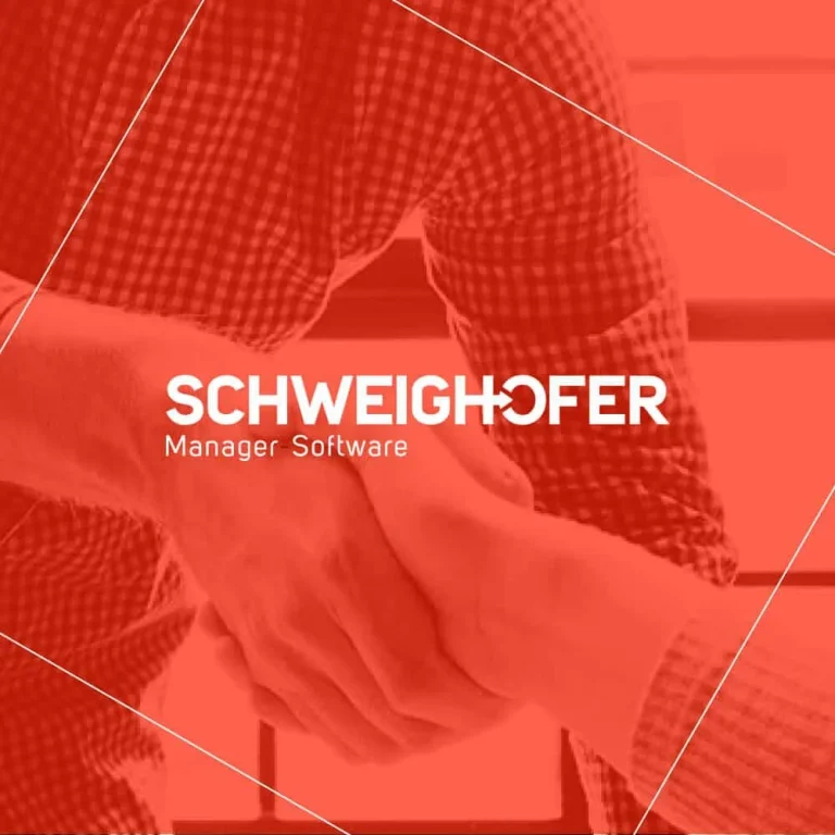 Schweighofer Fallstudie